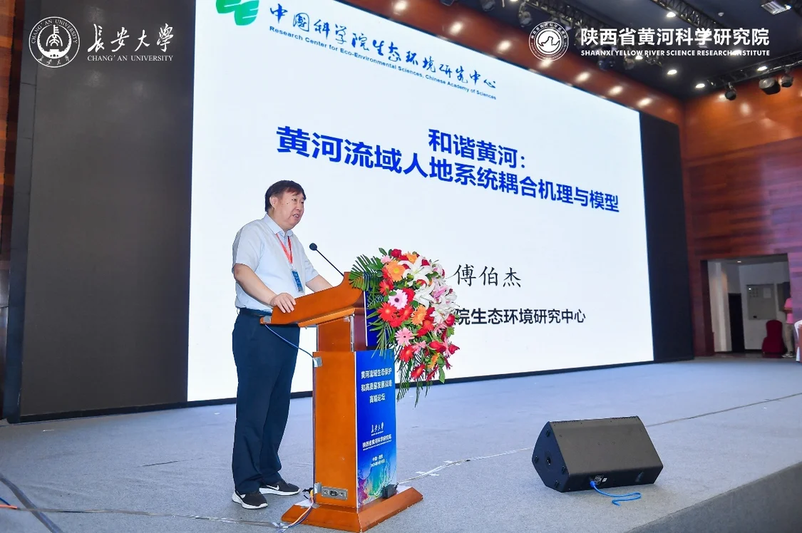 麻将胡了门户网站