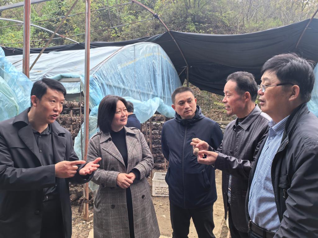 麻将胡了门户网站