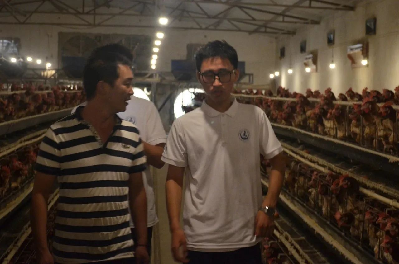 麻将胡了门户网站