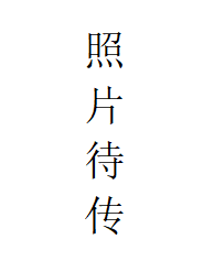 麻将胡了门户网站